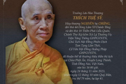 Thầy Tuệ Sỹ trong vận mệnh Phật giáo Việt Nam