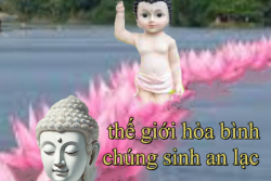 LỬA TỪ BI MÙA PHẬT ĐẢN  - Sáu Mươi Hai Năm Nhìn Lại