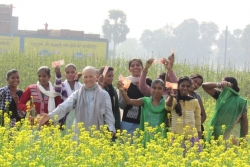 Hoa cải vàng bên sông Ni-liên, Ấn Độ